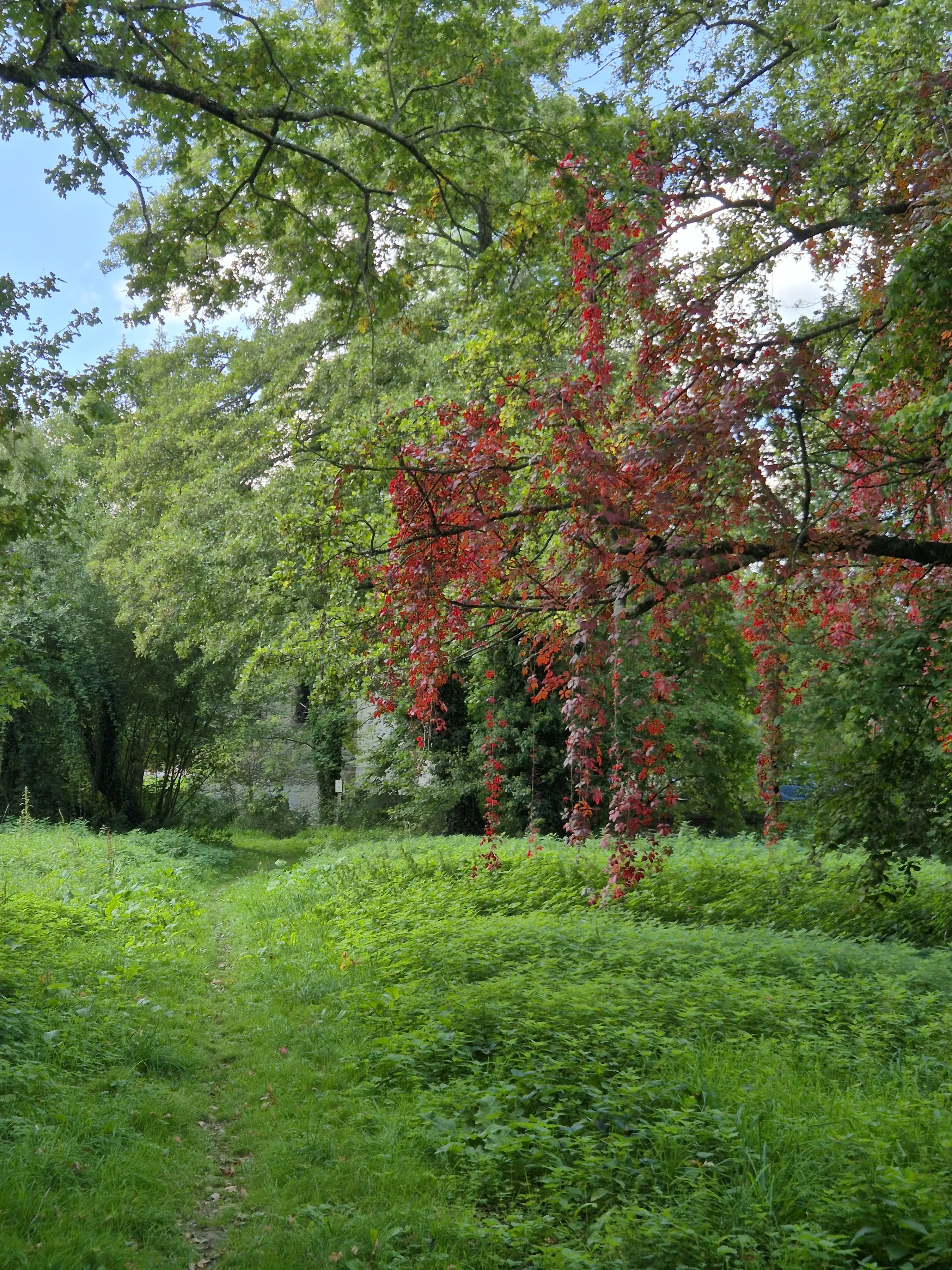 Photo du projet Coconnière 3