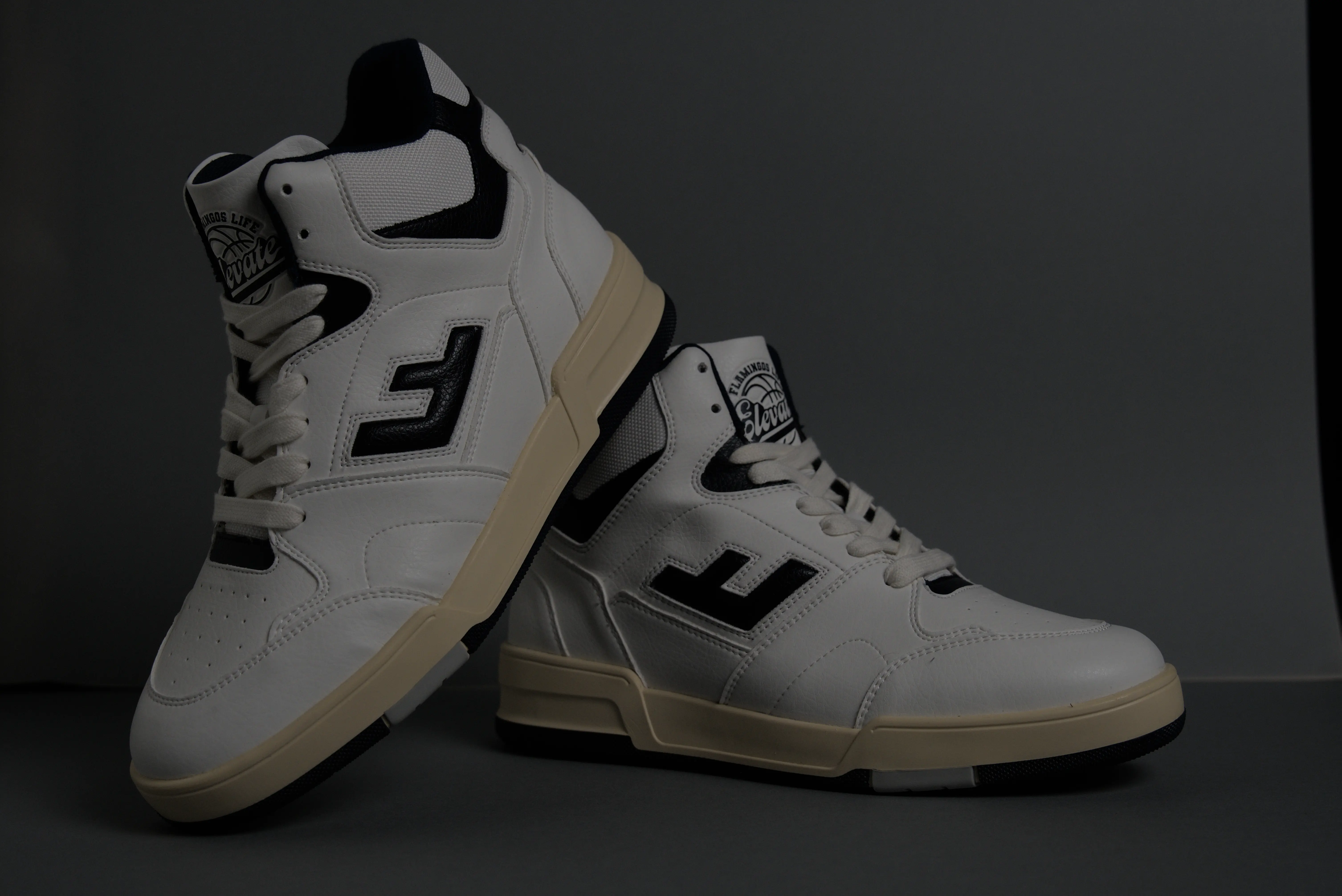 Mockup Flamingos Life 2