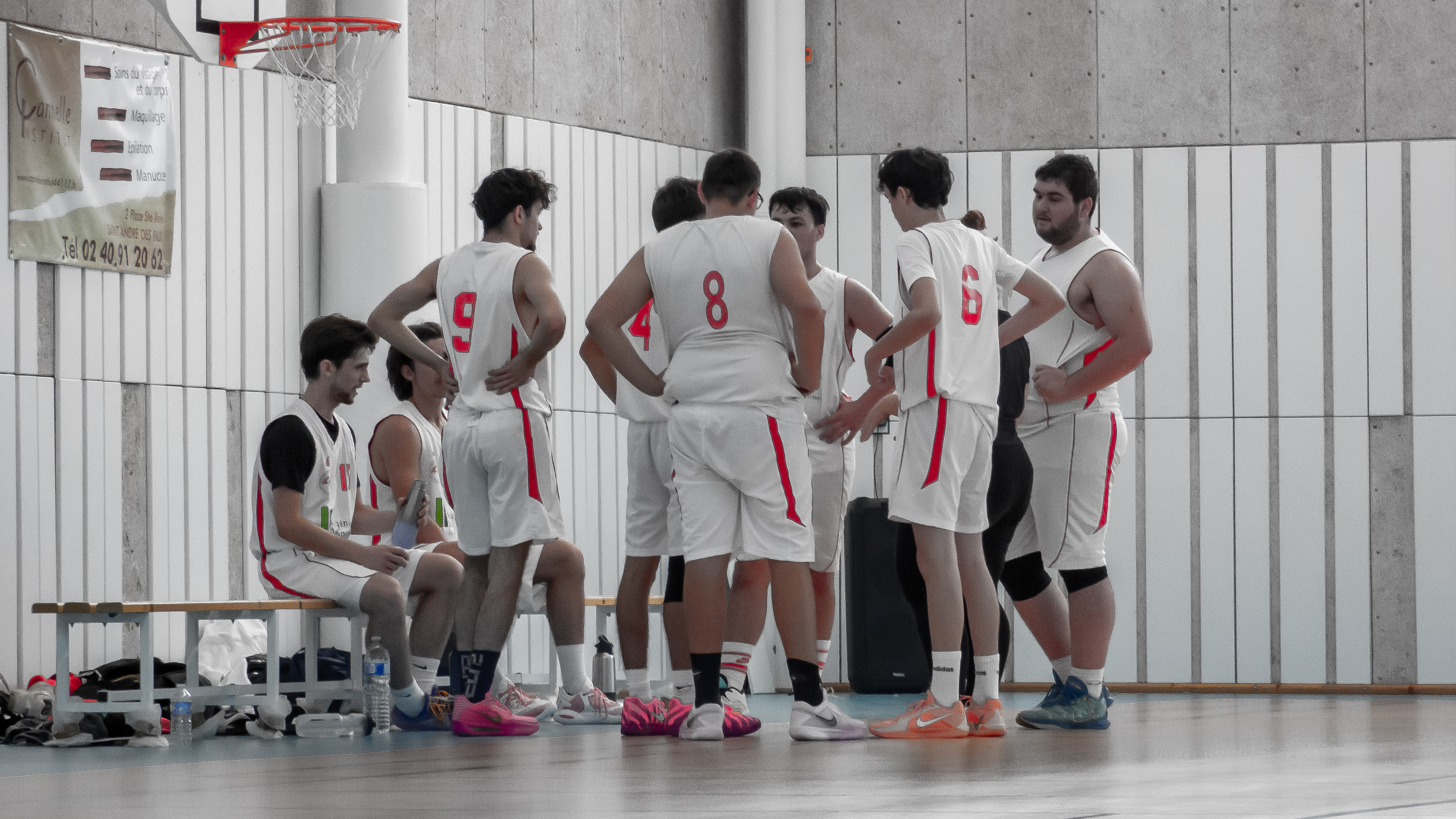 Basket 5